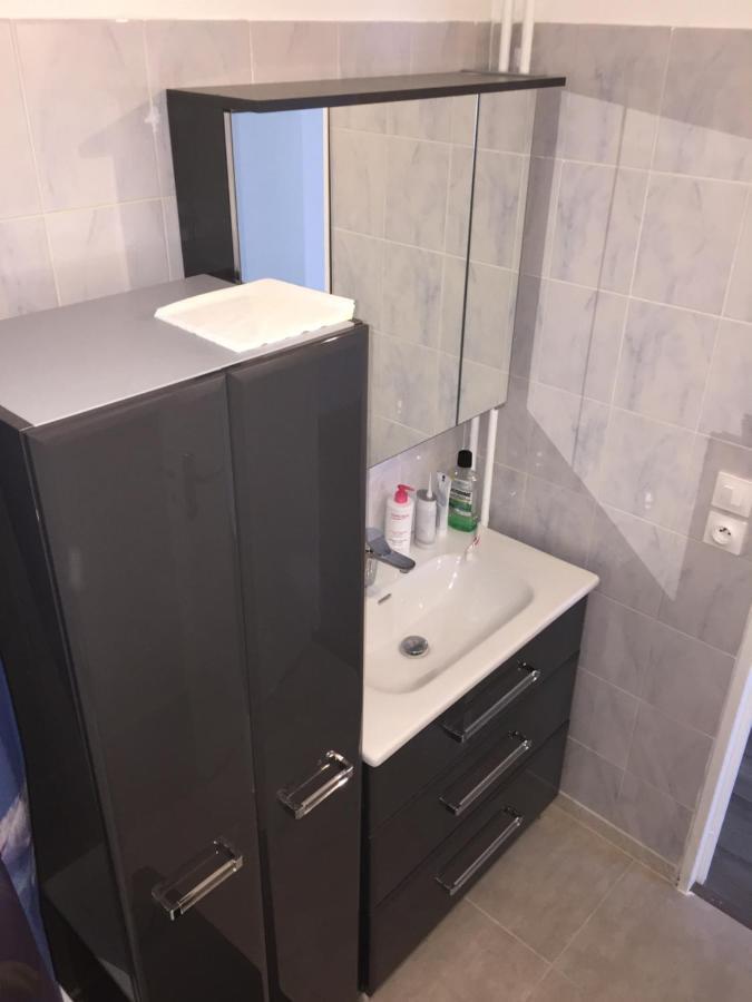 Grand Appartement A Louer Vue Sur Seine Melun Zewnętrze zdjęcie